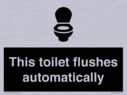 this-toilet-flushes-automatically~